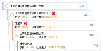上海海鼎网络信息有限责任公司怎么样？