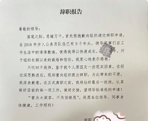 基层公务员 辞职报告 流出,网友觉得是明白人,这种感觉像围城