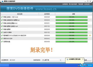 dvd刻录机价格选购攻略与刻录使用方法