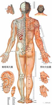 金星开窝葬了的结果