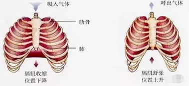 辣眼睛,明明很瘦的孟美岐为何看上去有四个胸