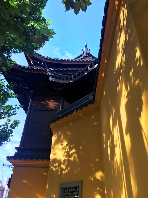 上海求姻缘最灵的寺,玉佛寺你不想去吗