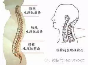 脊柱错位导致的疾病的精讲 