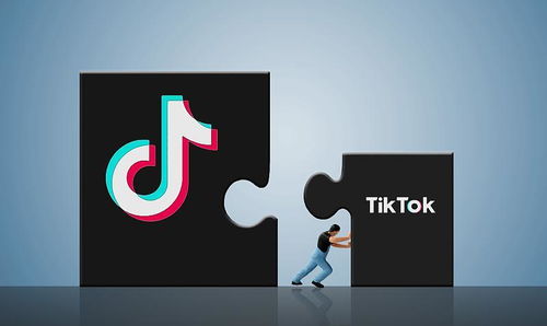 tiktok的视频_Tiktok企业广告账户如何开户