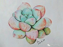 花骨朵插画的主页 