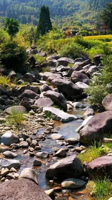 这种山间小溪,给我的感觉特别美好啊 