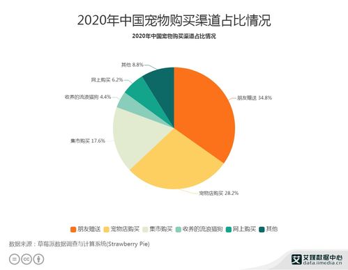 宠物行业数据分析 2020年中国28.2 宠物主在宠物店购买宠物
