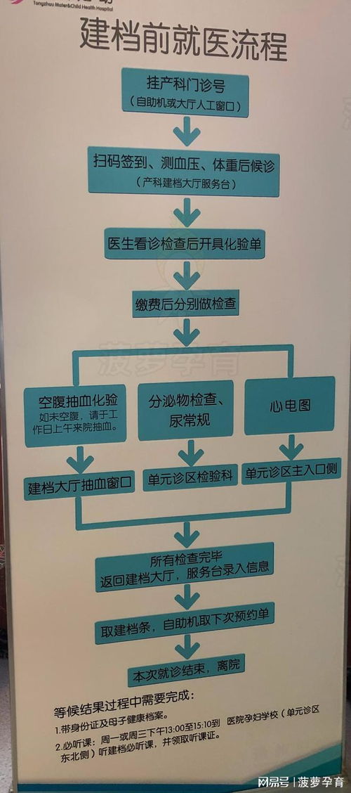 一文说清北京怀孕建档全流程