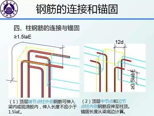 结构识图干货 框架梁 柱的构造要求图文详解,不能不懂