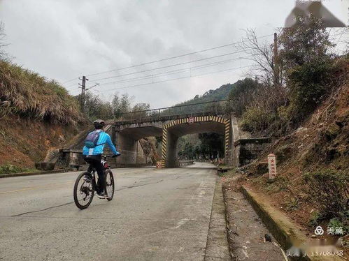 永安乡村游 虎年首进虎山村,办虎事,走虎运,成虎业