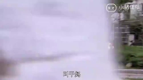 男子一直被催婚,为什么还能这么固执呢 