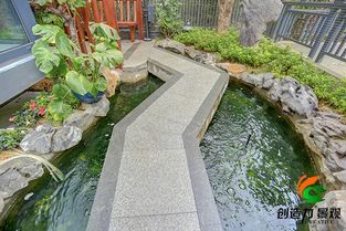 如何有效防止院子里的鱼池变脏呢