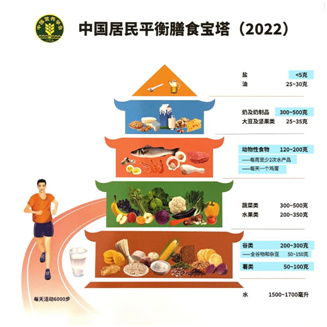 饮食指南，中国居民膳食指南的内容