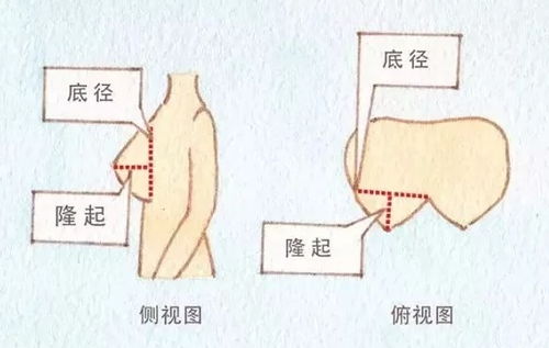 有哪些适合大胸女孩子的bra 