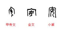 安字,是什么来历 