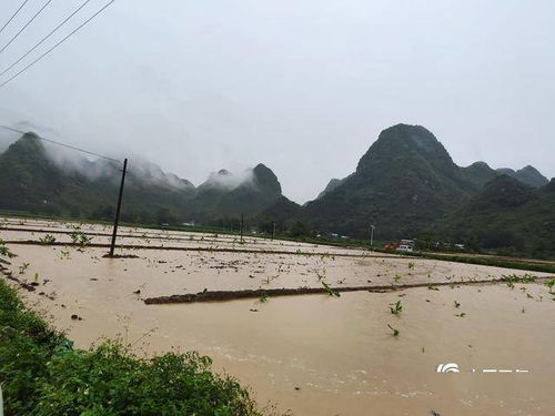 广西百色平果海城乡