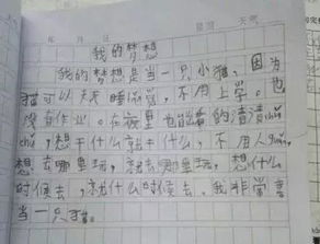 励志名人的作文2000字-付出与收获的名人事例50字？