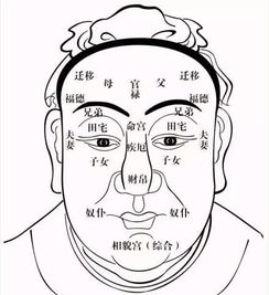 详解 麻衣神相 ,最完整的 相术 详解 通俗易懂