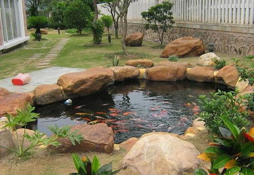 别墅庭院鱼池设计赏析,有锦鲤在假山水池中畅游 