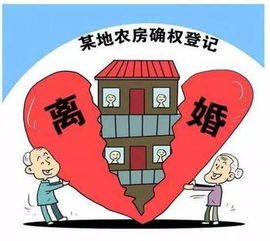 为房子离婚 为户口离婚 生辰八字不合也离婚 神圣婚姻 去哪了