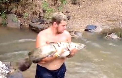 男子下水摸鱼巨大惊喜之后 抓到鱼时却是如此狼狈