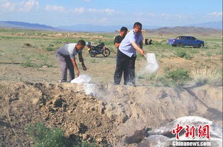 新疆塔城额敏塔城地区种羊场天气预报