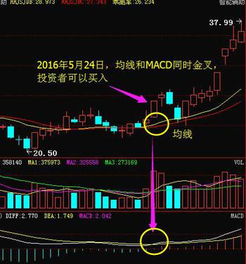 macd指标中dif和dea是什么？