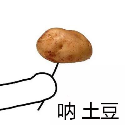 明星取名全是坑,逼疯孩子不是梦