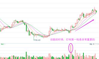 加油助威的句子