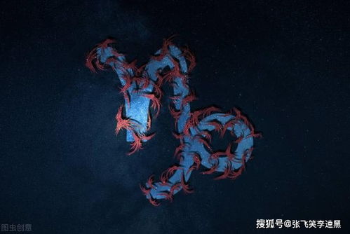 这4个星座一直到年末都很顺,惹人羡慕