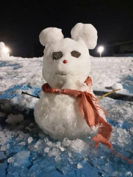 为女儿堆的大熊雪人火了