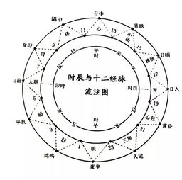 即墨古城大讲堂 杨力 神奇的24节气养生法 全文