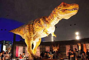 灵武恐龙博物馆好玩吗？