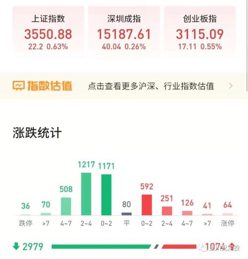 为什么基金涨了3个多点，最后还亏零点几？