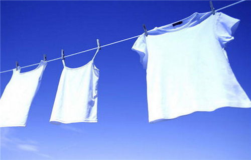冬天怎么手洗衣服 建议手洗的衣服可以机洗吗