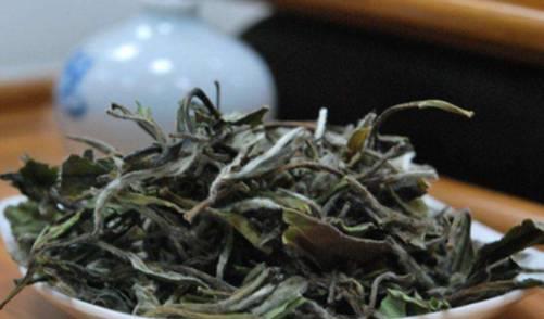 白茶的作用与功效介绍,喜欢喝白茶的看过来