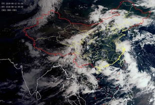 上海发布暴雨 雷电黄色预警 附 摩羯 最新位置图