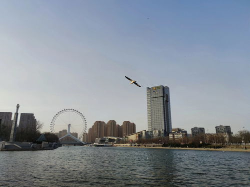 大学生特种兵旅游第四站 天津 