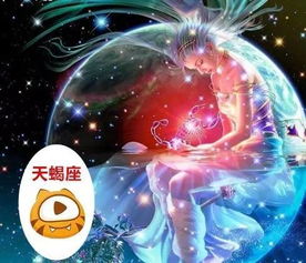 十二直播平台之星座版 熊猫最爱美 斗鱼工作狂 