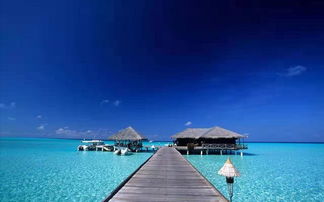 度蜜月去马尔代夫旅游怎样能更经济一些（马尔代夫度蜜月去哪个岛最好）