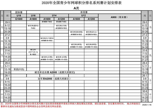 nba赛事积分排名表最新