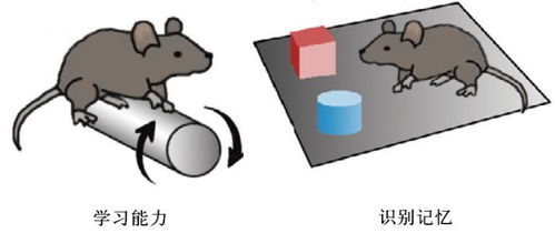 多晒太阳竟能变得更聪明 终于知道自己为啥学习不好了 