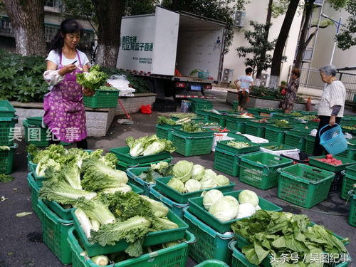 惠民菜场进小区生鲜下楼就见,很多居民不再跑拥挤莱场,好安逸 