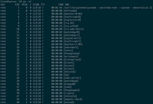 mpstat命令详解(linux定时任务    代表什么)