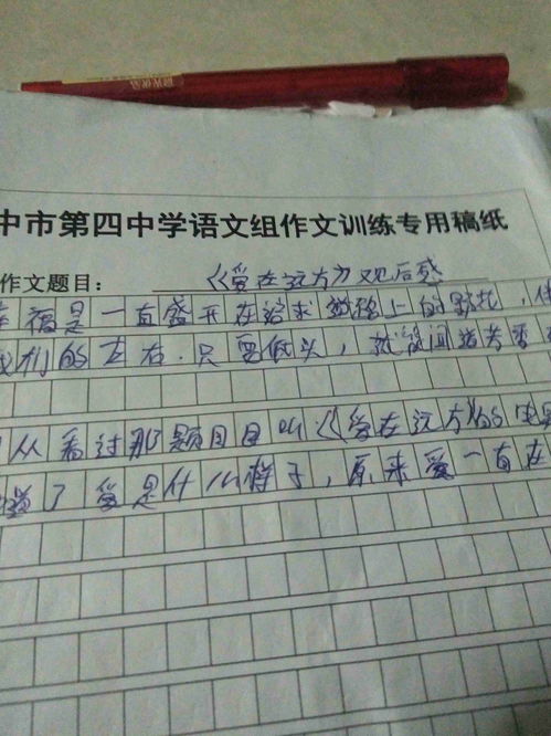 那个电影爱在远方观后感如何 怎么写 