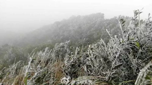 南方人第一次看见雪,写了篇观后感