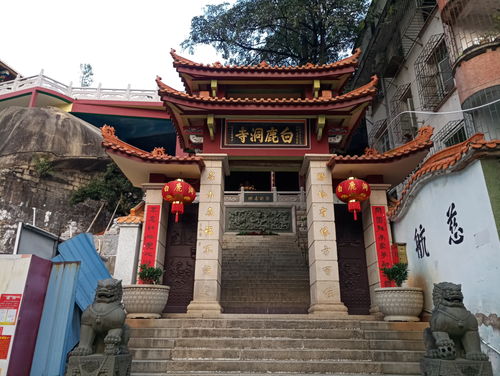 厦门白鹿洞寺,取名与朱熹有关,厦门小八景 白鹿含烟 就在这里