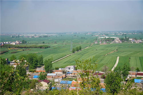 我和宿州有个约会,一场花事,一次慢旅行,探寻最烟火的宿州味道