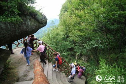 利川不建议去的景区是什么(利川有哪些景区好耍)