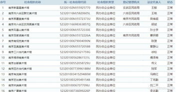 国内艺术机构的非营利之路 上 